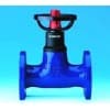 德国艾瑞ARI球墨铸铁闸阀